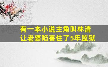 有一本小说主角叫林清 让老婆陷害住了5年监狱